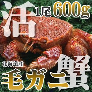 カニ かに 蟹 活 毛ガニ 600g 北海道産 未冷凍 即納 北海道特産 ギフト