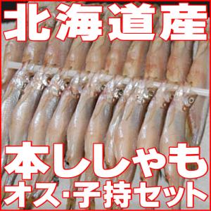 北海道 ししゃもの商品一覧 通販 Yahoo ショッピング