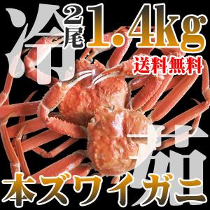 カニ かに 蟹 ズワイ 本ズワイガニ 2尾 1.4kg ボイル冷凍 即納 送料無料 北海道特産 ギフト お歳暮 お正月 年末年始