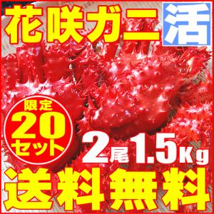 カニ かに ハナサキ 2尾 1.5kg 極上 活 花咲ガニオス 送料無料 未冷凍 北海道特産 お歳暮2017 年末年始配送OK