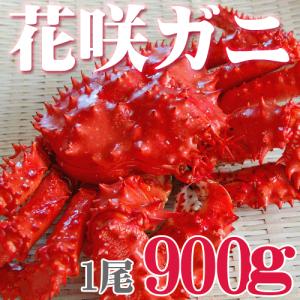カニ かに 花咲ガニ オス 900g 活目1.1kg ボイル...