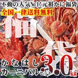 カニ かに 蟹 訳あり カニ福袋 かなはしカーニバルセット 3kg カニ詰め合わせ ボイル冷凍 即納 送料無料 北海道特産 ギフト