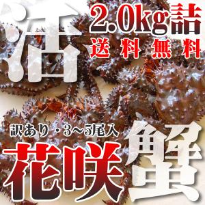 カニ かに 蟹 北海道産 活 花咲ガニ 2.0kg詰 訳あり 3-5尾 未冷凍 北海道特産 送料無料