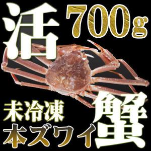 カニ かに 蟹  活 本ズワイガニ 700g 未冷凍 即納 北海道特産 ギフト