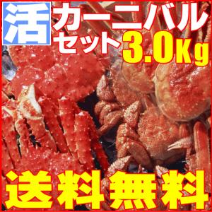 かなはしカーニバルセット3.0Kg「活・未冷凍」訳ありカニの海鮮福袋 送料無料！（即納）北海道特産 お歳暮2016 年末年始配送OK！