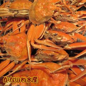 金沢よりボイル！訳あり香箱ガニ1.2kgセット（香箱ガニ・勢子ガニ・親ガニ・コウバコガニ・セコガニ）