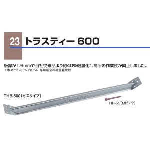 カネシン トラスティー６００ ＴＨＢー６００（ビスタイプ） １０本入 １ケース