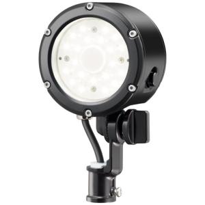 岩崎電気 LDFS50N-G-E39E LEDランプ LEDioc LEDライトバルブS【50W 昼
