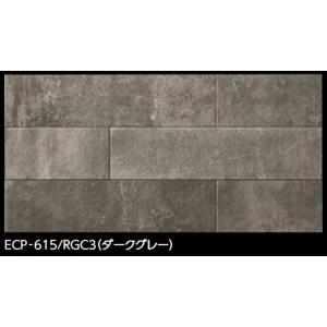LIXIL（リクシル） LIXIL ECP-630/STG3N ダークグレー ケース販売【7枚