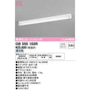 ODELIC（オーデリック） OL551335NR キッチンライト 非調光 40W×2相当