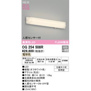 ODELIC（オーデリック） OG254506R LEDポーチライト Σ[X] : 住設建材