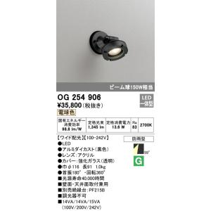 岩崎電気 LDT100-242V28N-G/H100 (LDT100242V28NGH100) LEDランプ LED