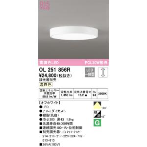 ODELIC（オーデリック） OG254873R 防雨型LEDシーリング Σ[X] : 住設