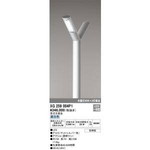 ODELIC（オーデリック） OL251881R LEDベースライト Σ : 住設建材