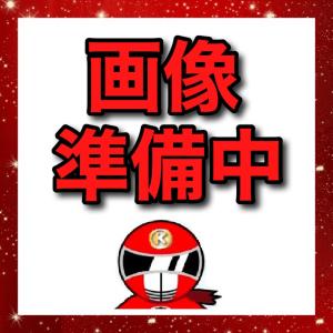 1000円 送料調整【ストアからの指示があった場...の商品画像