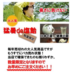 限定SALE!「お試しセット」 塩飴 業務用 ...の詳細画像1