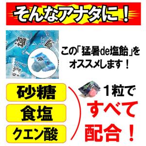 限定SALE!「お試しセット」 塩飴 業務用 ...の詳細画像3