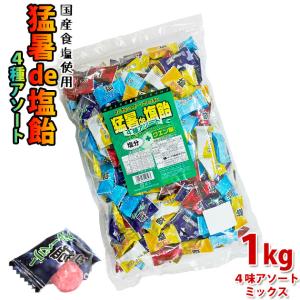 塩飴 業務用 1kg 猛暑de塩飴 4味アソートミックス 熱中症対策 / 梅 サイダー レモン ブルーベリー 飴 キャンディー 塩分 イベント アウトドア 部活 スポーツ｜kanamono1