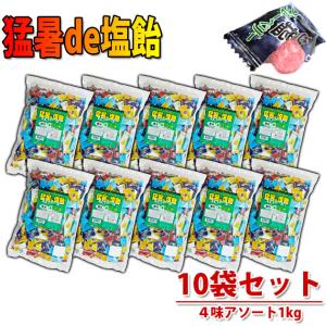 ビオーム プロビオティック17.36g(28袋) ビフィズス菌・乳酸菌含有食品