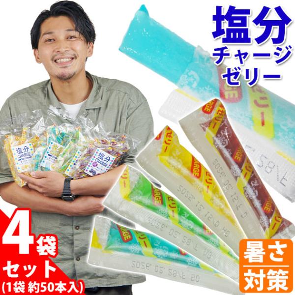 坂製菓 塩分チャージゼリー 4袋セット 1袋500g 50本入 / 熱中症対策 塩ゼリー 大袋 熱中...