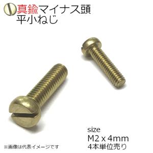 真鍮 平頭小ネジ M2x4mm 4本入り