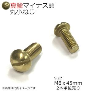 真鍮 丸頭小ネジ M8x45mm 2本入り