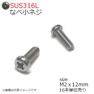 SUS316L　ナベ頭小ネジ　M2x12mm　16本入