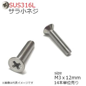 SUS316L 皿頭小ネジ M3x12mm 14本入