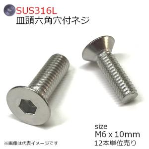 SUS316L 皿頭六角穴付ネジ M6x10mm 12本入り