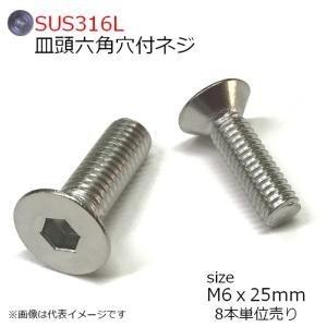 SUS316L 皿頭六角穴付ネジ M6x25mm 8本入り