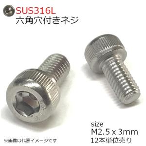 SUS316L 六角穴付きボルト M2.5x3mm 12本入り 全ネジ