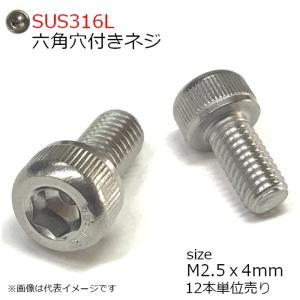 SUS316L 六角穴付きボルト M2.5x4mm 12本入り 全ネジ