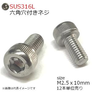 SUS316L 六角穴付ボルト M2.5x10mm 12本入り 全ネジ