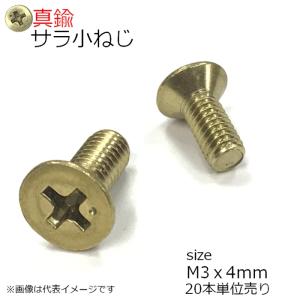 サラ頭小ネジ M3x4mm 真鍮製 20本入り