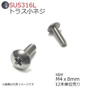 SUS316L　トラス頭小ネジ　M4x8mm　12本入り