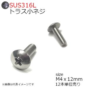 SUS316L　トラス頭小ネジ M4x12mm　12本入り