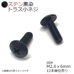 SUS トラス小ネジ 黒色 M2.6x6mm　12本入り