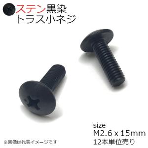 SUS トラス小ネジ 黒色 M2.6x15mm　12本入り