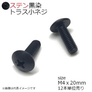 SUS トラス小ネジ 黒色 M4x20mm　12本入り