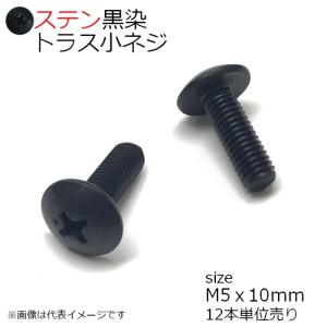 SUS トラス小ネジ 黒色 M5x10mm　12本入り