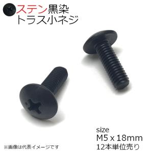 SUS トラス小ネジ 黒色 M5x18mm　12本入り