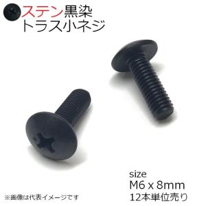 SUS トラス小ネジ 黒色 M6x8mm　12本入り