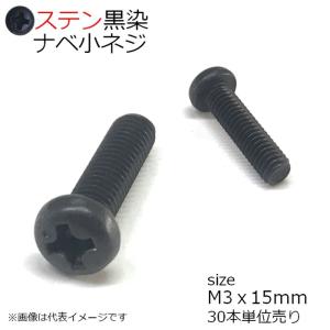 SUSナベ頭小ネジ黒色 M3x15mm 30本入