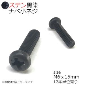 SUSナベ頭小ネジ黒色 M6x15mm 12本入