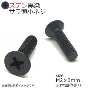 SUS 皿頭小ネジ 黒色 M2x3mm 30本入