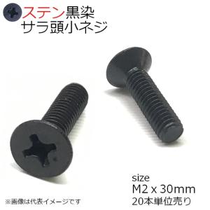 SUS 皿頭小ネジ 黒色 M2x30mm 20本入
