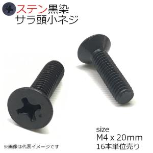 SUS 皿頭小ネジ 黒色 M4x20mm 16本入