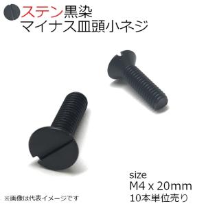 SUS マイナス皿頭小ネジ 黒色 M4x20mm 10本入