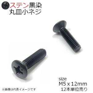 SUS 丸皿小ネジ 黒色 M5x12mm 12本入