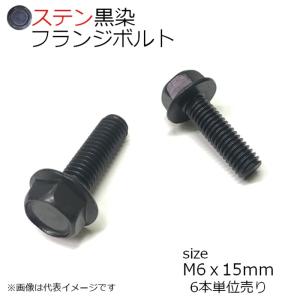 SUS 六角フランジボルト 黒色 M6x15mm 6本入